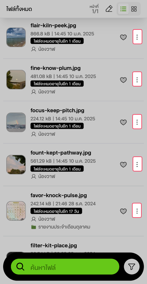 หน้ารายการไฟล์ทั้งหมด