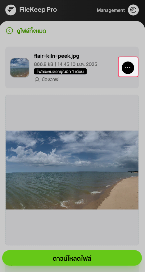 หน้าดูรายละเอียดของไฟล์