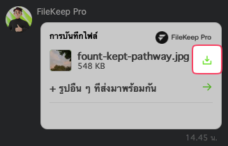 ข้อความตอบกลับพร้อมปุ่มดาวน์โหลด