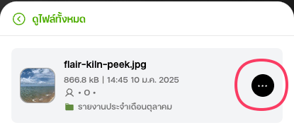 ปุ่มเมนูบริเวณข้างไฟล์