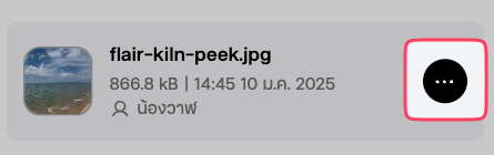 หน้าดูรายละเอียดของไฟล์